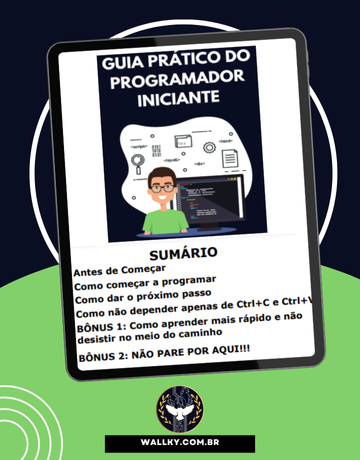 Sumário Ebook Ebook Grátis - Guia Prático Para o Programador Iniciante