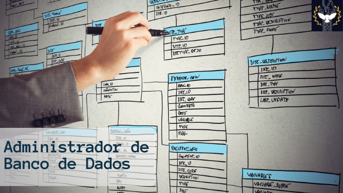 Administrador de Banco de Dados